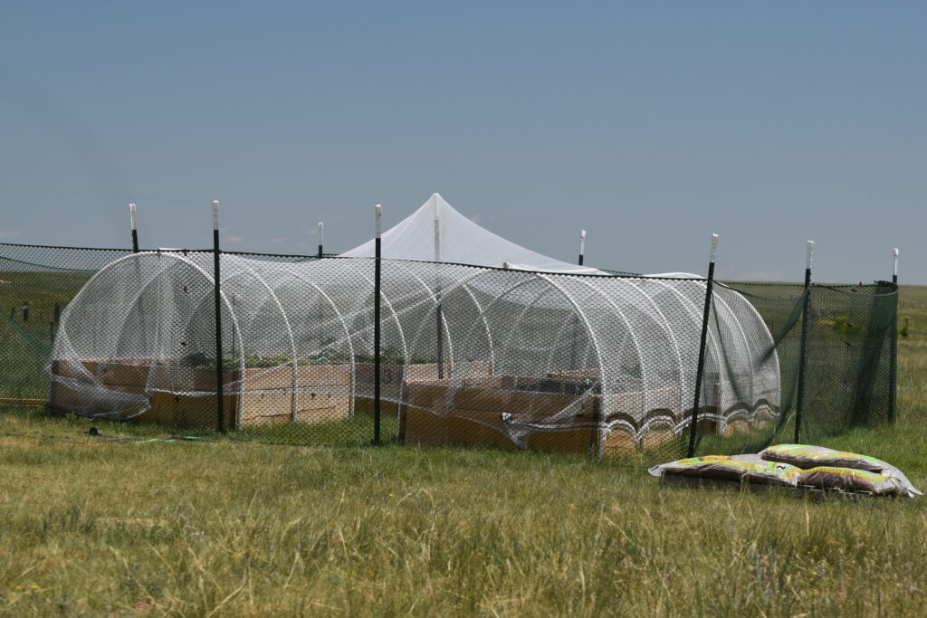 Hail cloth covering the professional beds